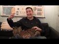 Jeff the Animal Guy Teaches You about the Siberian Lynx