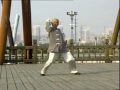 Shaolin „Tiger and Crane Double Form Set" (Fu Hok Seung Ying 虎鶴雙形)