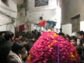 Zuljanah Baramdagi At Imam Bargah Al Hassan, Misri Shah, Lahore.