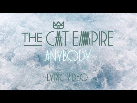 Anybody Video