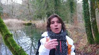 video 4 : questions/réponses sur la Communication animale avec les animaux sauvages - Terranimae