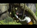 La leyenda de El Duende
