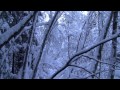leevi_madetoja