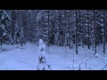 leevi_madetoja