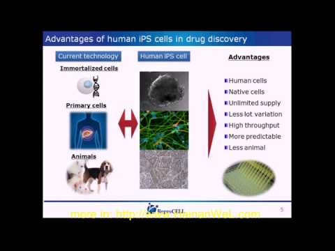 advantages of animal cell advantages of animal cell