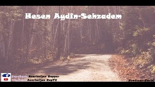 Hesen Aydin-Sehzadem (Lyrics)