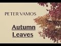 Autumn Leaves Piano Cover Peter Vamos
