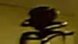 Backrooms Pitfalls Bacteria Scream Sound