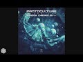 Protoculture - Break Out (Shadow Chronicles Remix)