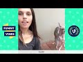 Funny Animals Vines V2 March 2018 Compilation | Cute Pets, Dogs, Birds, Cats Videos Monthly Montage