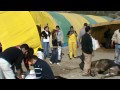 image Kurban Kesimi Kkb Slaughtering Feast Of Sacrifice In Turkey Ankara Women And Girls