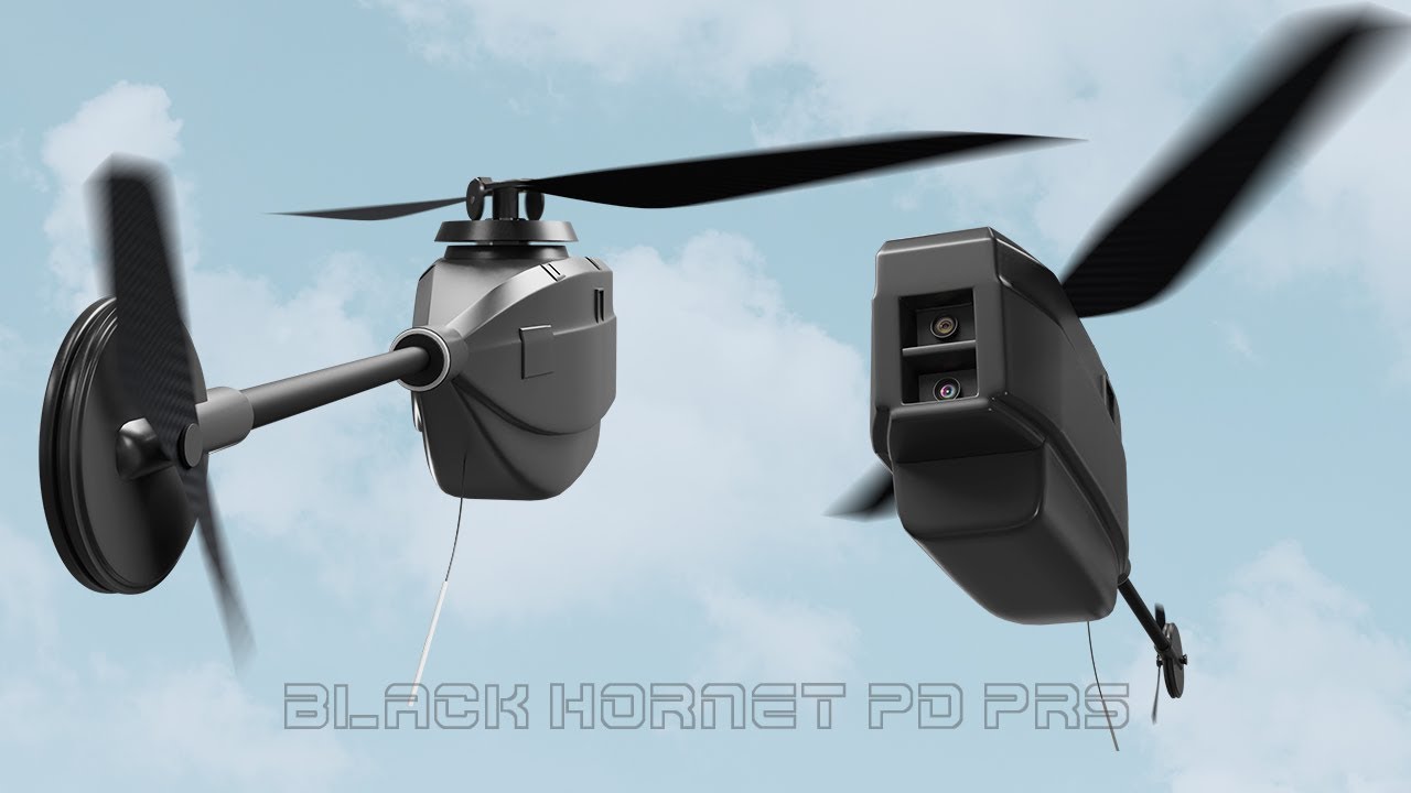 The Black Hornet Порно