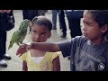 Behind Art Brother Sister Movie Short images Behind Art Brother Sister Movie Short