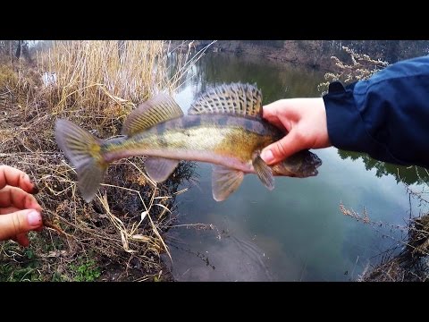 весенняя рыбалка в подмосковье видео 2015 весенняя рыбалка в подмосковье видео 2015