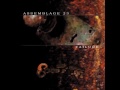 Assemblage 23 - Divide