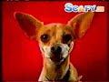 scafy