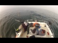 North Cal Sportfishing
