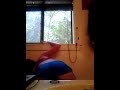 Girls XXX s videos