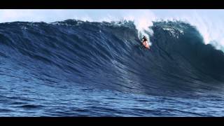 How Surfer Albee Layer Confronts Jaws