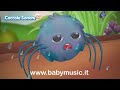 Whiskey il ragnetto - Canzoni per bambini di Coccole Sonore
