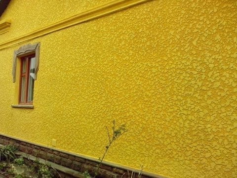 Колхикум выращивание и уход 90