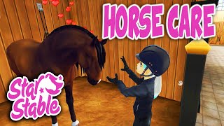 Star Stable Pampering Apple Angle Horse Care