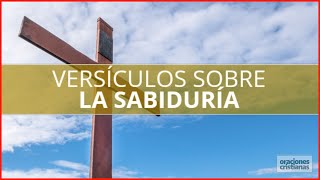 Versículos Sobre La Sabiduría. Citas Bíblicas Para Tener Serenidad Y Conocimiento.