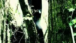 Watch Furan Sentinels Of Light video