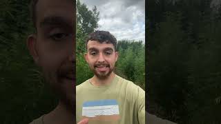 Why We Choose Solventless