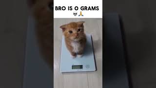 Bro Doesnt Even Exist