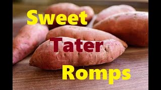 Tater Romps