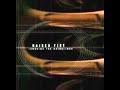 Raised Fist - Ignoring The Guidelines -  2001 (FULL ALBUM)