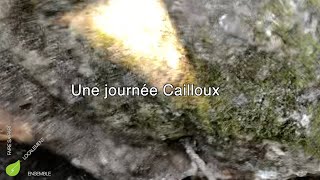 Une journée pleine de cailloux