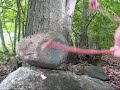 How to Build a Trip Wire Snare