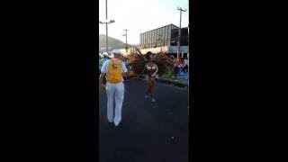 Amanda Mattos Madrinha Vitalícia Na União De Jacarepaguá 2016