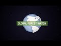 Global Forest Watch | Monitoring Forests in Near Real Time