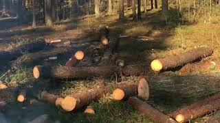 Видео Валка леса (запрещённый прием) от No1 Wlad Fasad pro Wood, Валка, Латвия