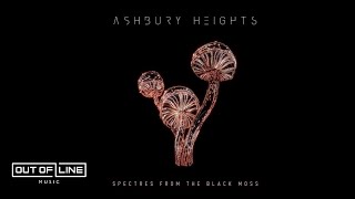 Watch Ashbury Heights Spectres From The Black Moss video