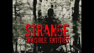 Unexplained Disappearances Strange Invisible Entities Missing 411 Connection Unexplained Disappearances Strange Invisible Entities Missing 411 Connection