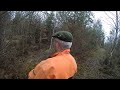 chasse