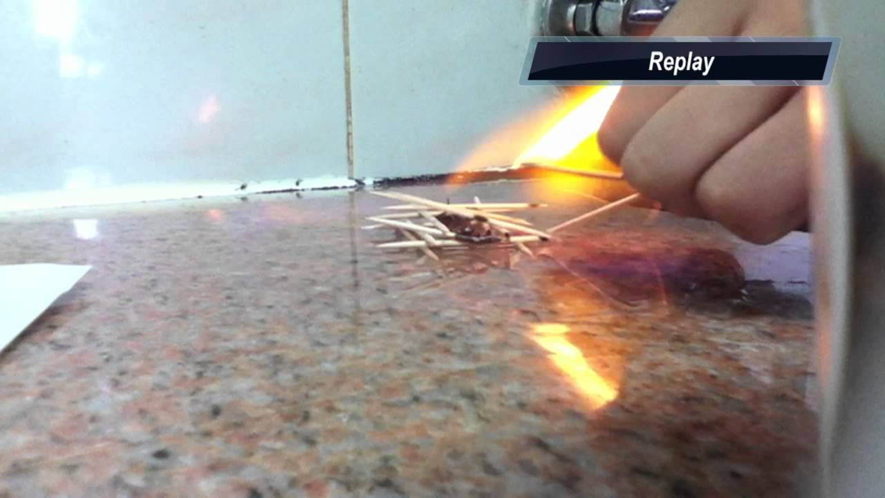 A Burning Cockroach (720p HD) - YouTube