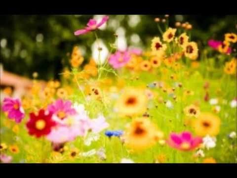 Non Stop Bollywood Huge Songs Collection - Part 29 Trailer (...