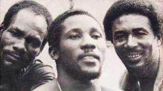 Watch Toots  The Maytals Revolution video