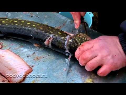 как снять шкуру с карпа чулком видео как снять шкуру с карпа чулком видео