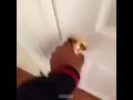 دخل عليه وهو يجلخ ههههههههه