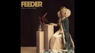 Watch Feeder Picture Of Perfect Youth video