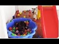 Watch How This Dog Reacts When He Sees A Ball Pit For The Fir...