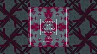 Video No Ordinary Love Havana Brown