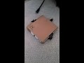 cardboard animals