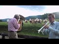 Jazz for Cows